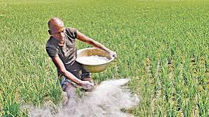 জরুরি কৃষি সহায়তা দরকার দেশের ৫০ লাখ মানুষের: FAO