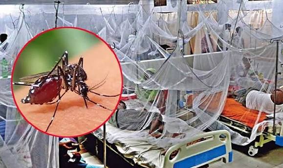 বাংলাদেশের ডেঙ্গু পরিস্থিতি নিয়ে এডিস মশা, হাসপাতাল ও ঊর্ধ্বমুখী রেখার সম্পাদকীয় ইলাস্ট্রেশন
